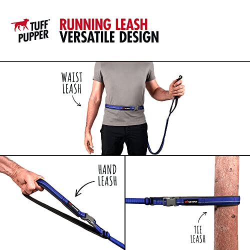 Hands Free Adjustable Length Dog Leash (Blazing Blue)