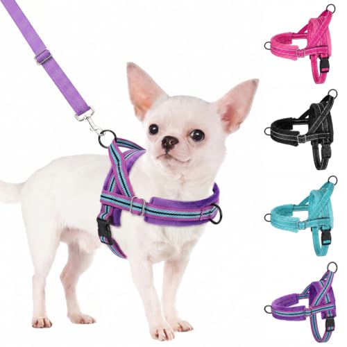 No Pull Small Dog Harness and Leash Set with Front Clip (Small / Purple)
