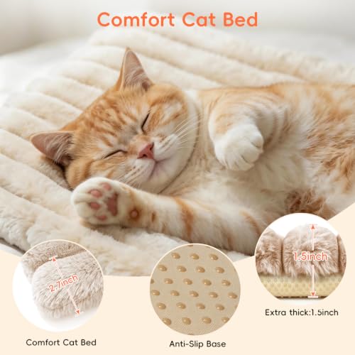 Cat Bed Mat for Indoor Cats (White / Medium 23.6×15.7 inch)