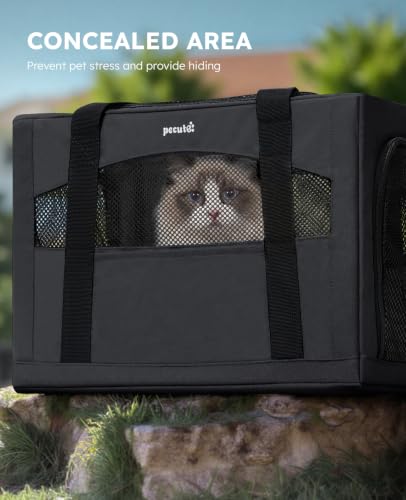 Cat Carrier Stable (Dark Gray / 18.5"L x 12.9"W x 11.8"H)