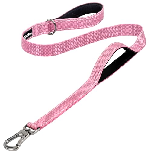4FT Heavy Duty Dog Leash with Soft Padded Double Handle (4 FT x 1 in Wide / Pink)