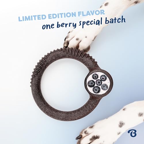 Ring Dog Chew Toy for Aggressive Chewers (REAL Blueberry / Small)