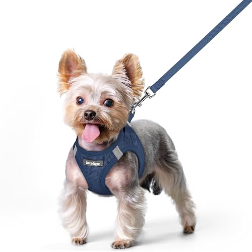 Dog Harness Small Sized and Leash Set (Navy Blue / Xs (chest: 13.3 - 15.5"))