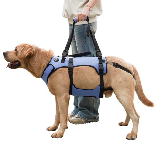 Dog Lift Harness for Large Dogs (Blue / XXL)