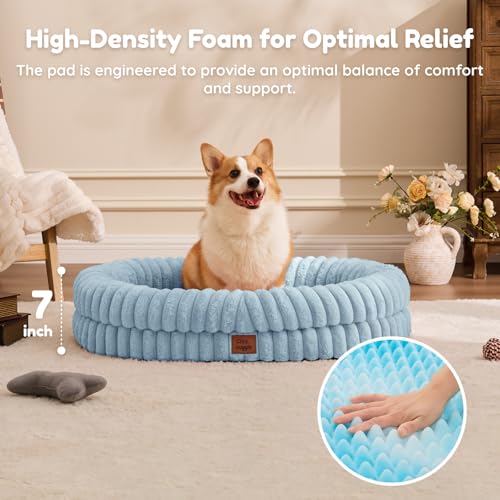 Orthopedic Dog Bed (Light Blue / L(35*28*7))