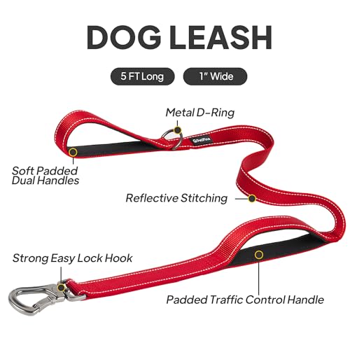 5FT Heavy Duty Dog Leash with Soft Padded Double Handle (5 FT x 1 in Wide / Red)
