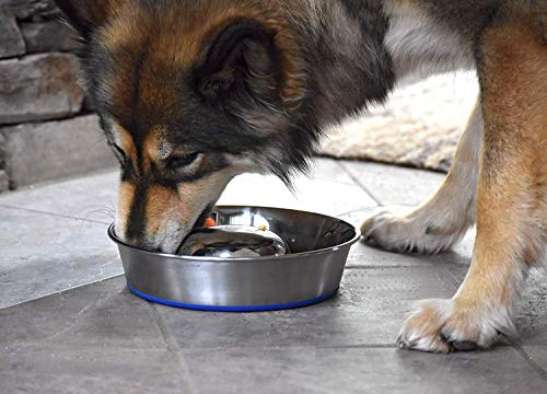 OurPets DuraPet Slow Feed Premium Stainless Steel Bowl (Medium (4.5 Cups))