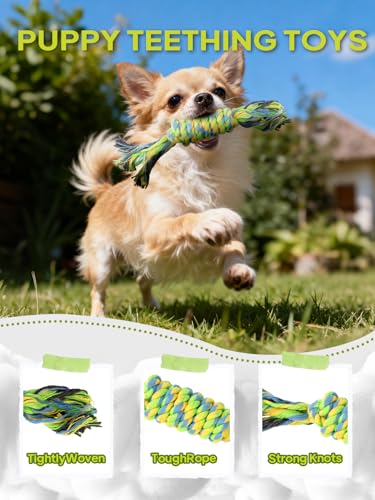 Dog Rope Toy 9 Pack (Blue / Mini/Small)