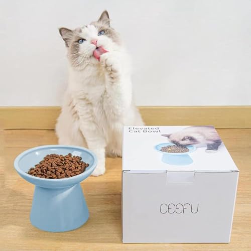 2 Pack Extra Wide Elevated Ceramic 6.2" Shallow Cat Food Bowls (Baby Blue-2 Food Bowl)