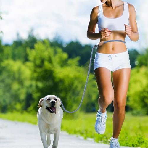 Hands Free Dog Leash (Blue White / 7FT Hands Free)