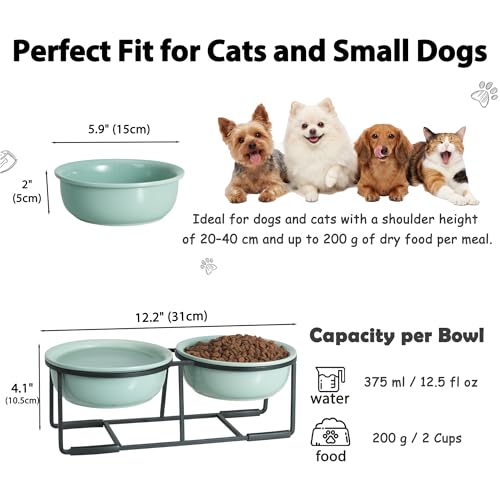 Ceramic Elevated Dog Bowl Set (Green / S × 2)