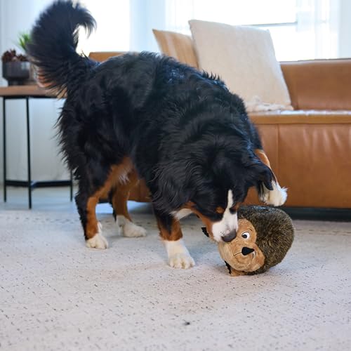 Hedgehogz Plush Dog Toy (Dog Plush Hedgehogz / X Large (Pack of 1))