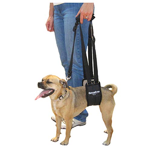 Dog Rear Sling Support Harness (Small - Female)