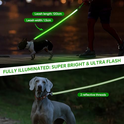 LED Dog Leash (Green)
