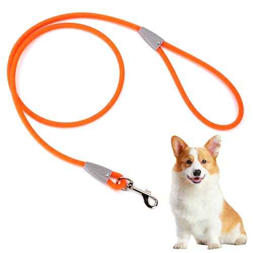 5FT Nylon Waterproof Dog Leash (Orange-B)