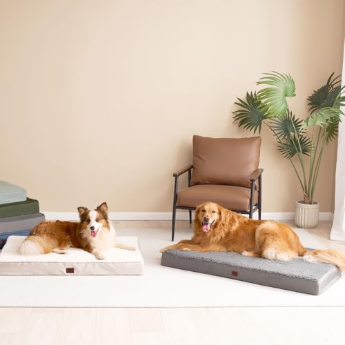 Orthopedic Dog Bed Extra Large with Removable Washable Cover (47*29*3.5 inches / Light Grey)
