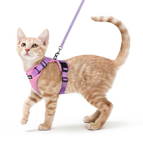Cat Harness and Leash Set (Xs / Pink & Light Purple)