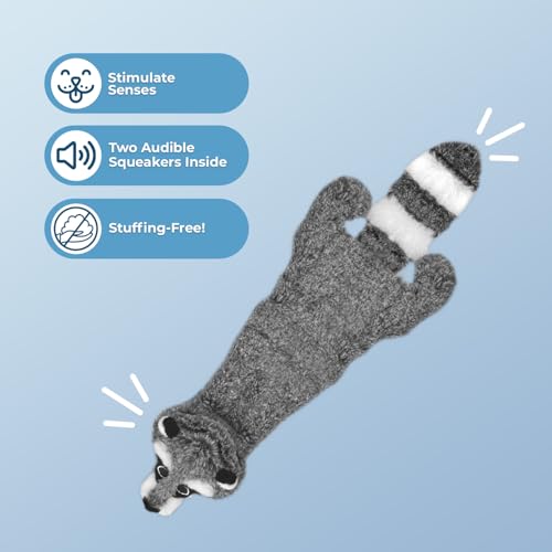 2-in-1 Stuffless Squeaky Dog Toy - Raccoon, Small (Grey/Raccoon / Small)