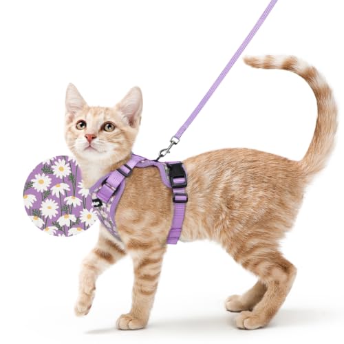 Cat Harness and Leash Set (Xs / Purr-ple Daisy)
