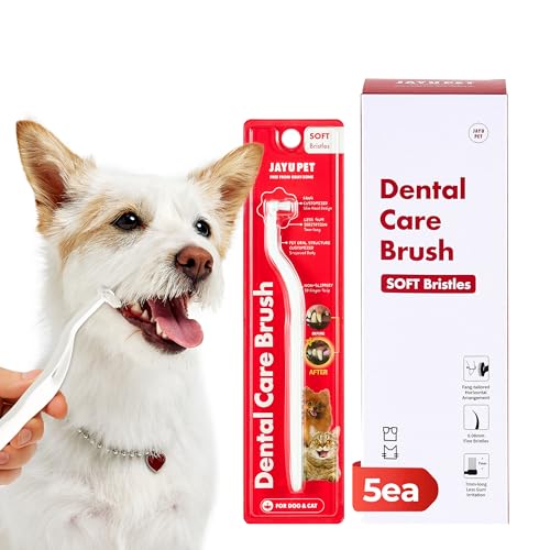 Dental Care Brush (Soft Bristles / 1 Count (Pack of 5))