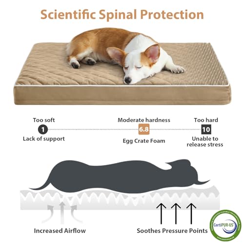 Orthopedic Waterproof Large Dog Bed for Crate Cozy Sleep (brown / 35"L x 22"W x 3"Th)