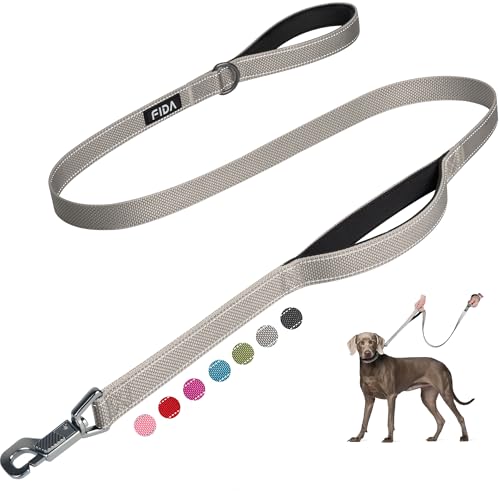 Heavy Duty Dog Leash for Medium Large Dogs (4 Feet (Pack of 1) / Grey)