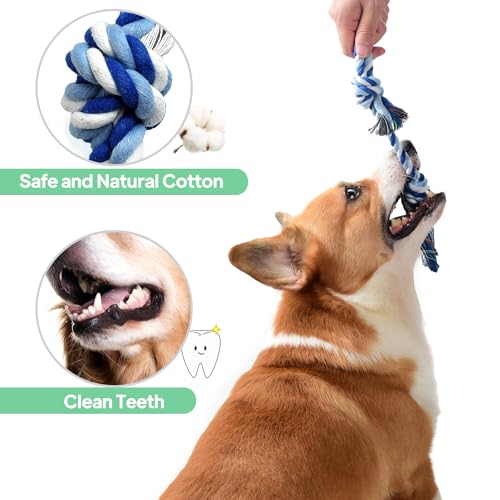 Dog Rope Toy 4 Pack (Red / Mini/Small)