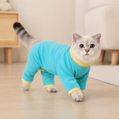 Cat Behavior Control Sweater (Large / Turquoise)