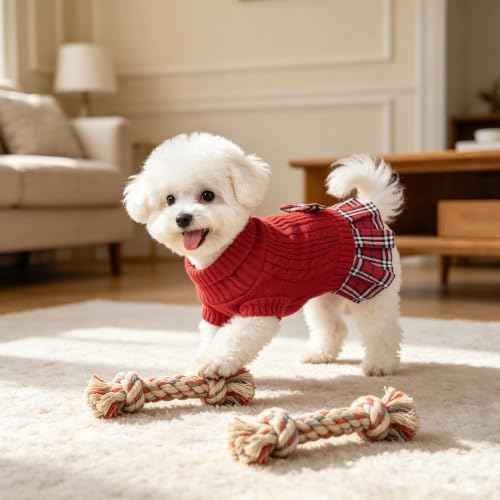 Small Dog Sweater Dress with Bowtie Turtleneck (XX-Large (30-45lbs) / Red)