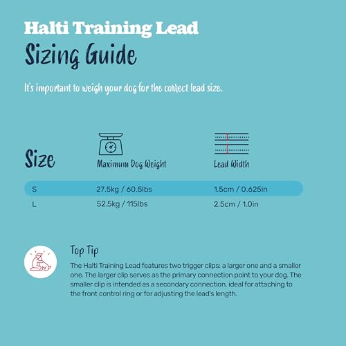 Training Dog Leash (Small / Black)