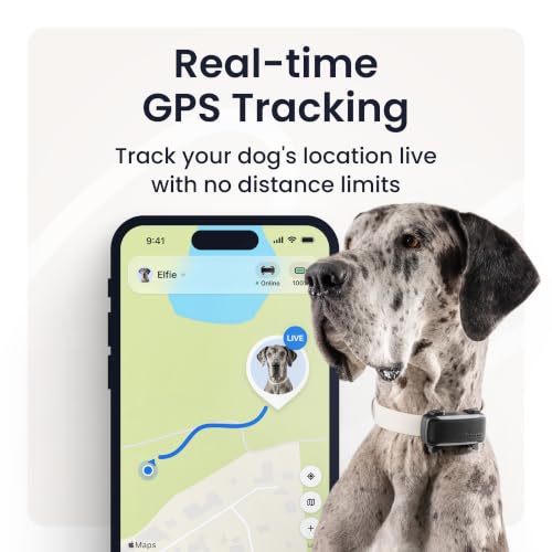 XL Smart Dog GPS Tracker (Black)