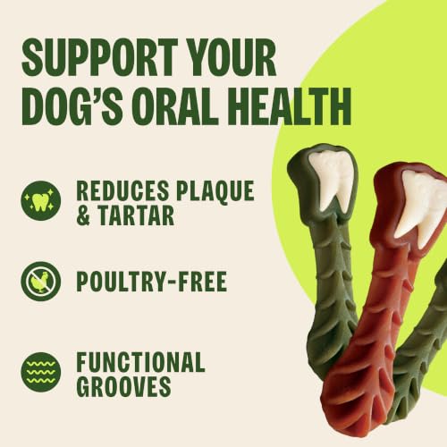 Wellness WHIMZEES Brushzees Natural Dog Dental Treat (16 Count (Pack of 1))