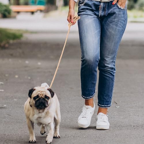 Dog Leash Braided Cotton Rope with Leather (Light Brown / 72 Inch-1/3")