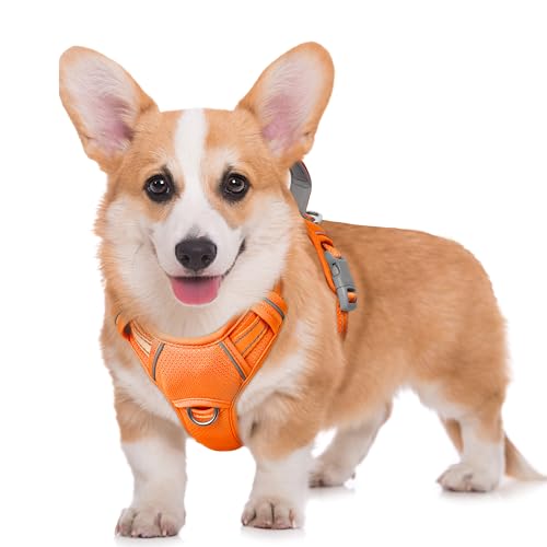 Dog Harness for Medium Sized Dog No Pull Dog Vest ID Tag Pocket (Orange / Medium)