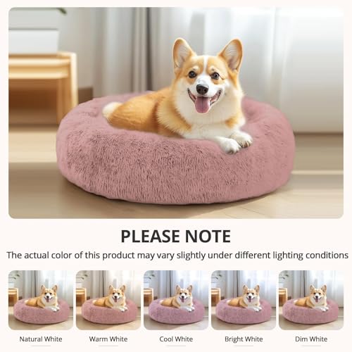 Calming Dog Bed for Small Dogs (Dark Pink / 23.0"L x 23.0"W x 8.0"Th)