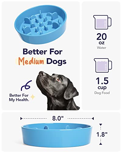Slow Feeder Dog Bowl Ceramic (Snowflake Blue / M-1.5 Cups)
