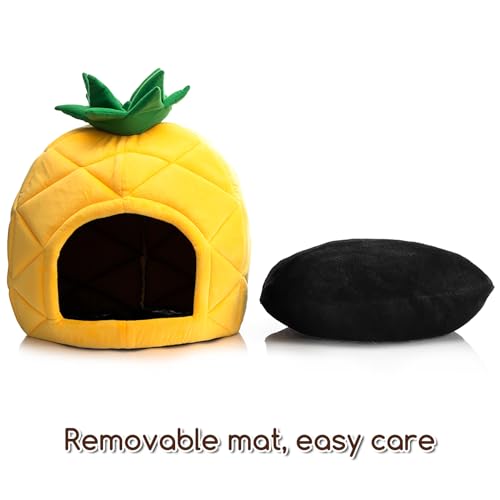 Cat Bed Cave for Indoor Cats for Pets up to 15 lbs (Pineapple Cave)