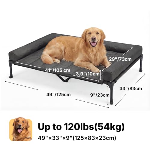 Outdoor Elevated Dog Bed with Waterproof Bolster Cushion (Black / 49.0"L x 33.0"W x 9.0"Th)