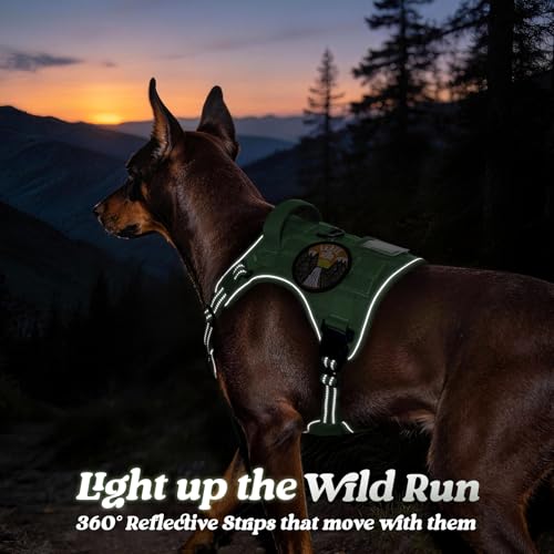 Tactical Dog Harness for Large Dogs (L(Chest:22"-37",Neck:21.1"-30.3",Back:8.3") / Green)