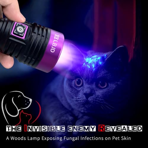 UV Black Light 365 nm Rechargeable Flashlight with Filter for Pet Urine (Black and Purple)