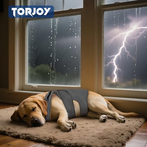 Dog Anxiety Vest for Dogs (Stormy Calm (Dark Gray) / X-Large)