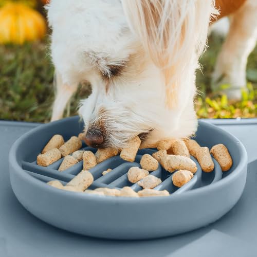 Slow Feeder Dog Bowl (Ocean - Rainbow Design / Small (6” Across x 1.25” Tall))