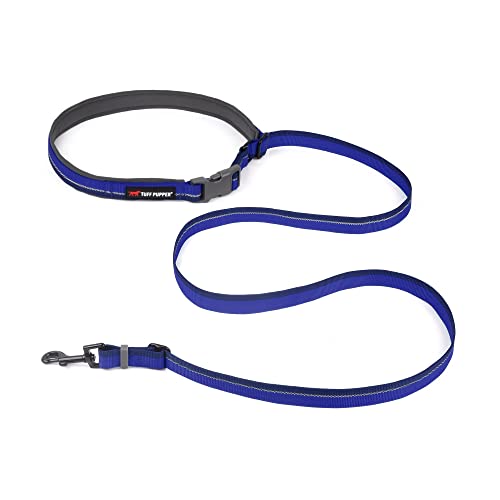 Hands Free Adjustable Length Dog Leash (Blazing Blue)