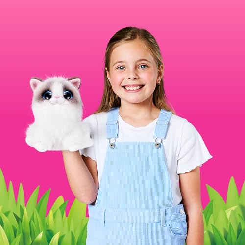Smitten Kittens Series 2 (Ragdoll)