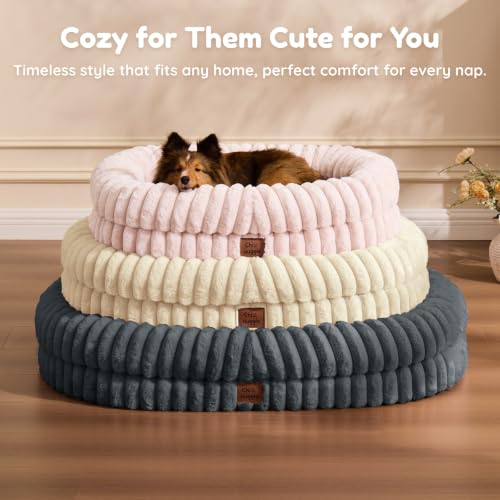 Orthopedic Dog Bed (Sandy Beige / M(30*24*7))