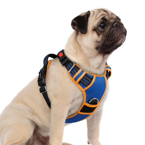 Dog Harness Small Sized (Royal Blue & Orange / Small)