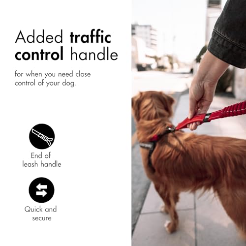 Zero Shock Bungee Dog Leash (Corduroy / 48-Inch)