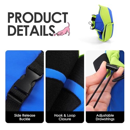 Dog Cones for Medium Dogs (BlueGreen / Medium)