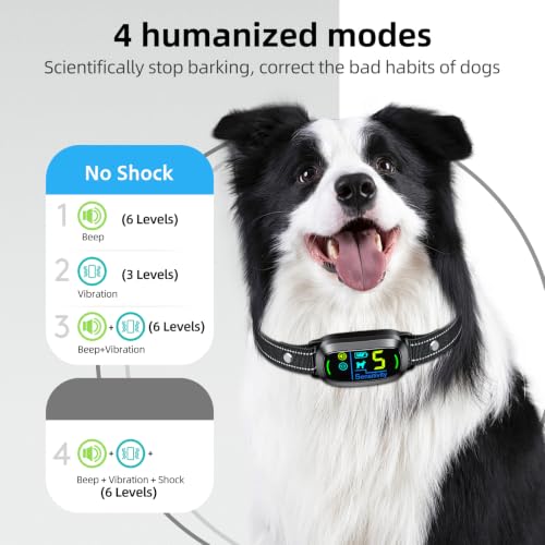 Dog Bark Collar (Black)