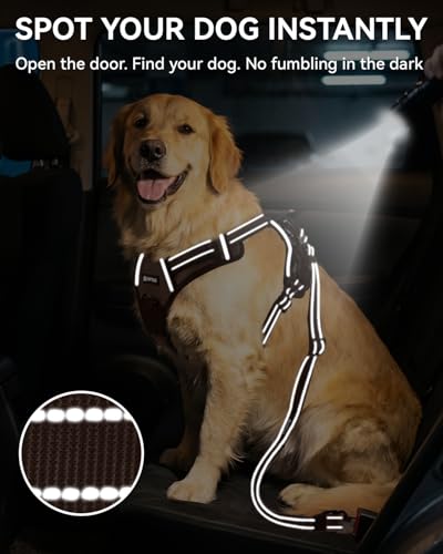3-in-1 Bungee Dog Seat Belt for Car, Medium and Large Dogs, Brown (Brown / (21.6-31.5) inch)